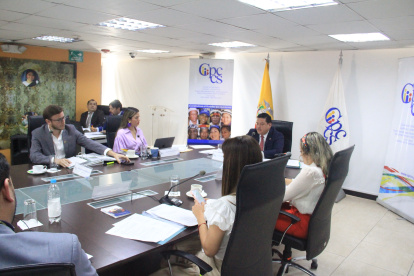 El pleno del Consejo de Participación está a la expectativa de la decisión de la Constitucional.