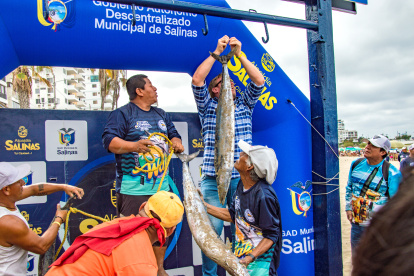 Salinas. Luego de la faena de pesca se pesan los ejemplares.