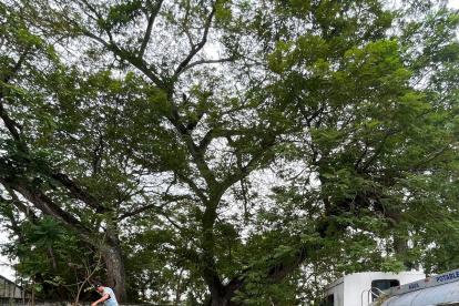 Muestra. El líquido decomisado fue almacenado en tanques de plástico.