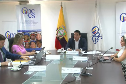 El pleno del Consejo de Participación está la expectativa de la Corte Constitucional.