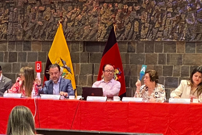 Queja. La concejala Sandra Hidalgo hizo cuestionamientos.