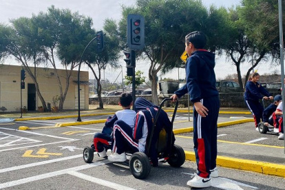 Aprendiendo. Los más pequeños llegan en grupos de escuelas y colegios para sumarse a este programa de aprendizaje