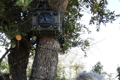 La autora principal de la investigación, Liana Zanette, instala una cámara  y el sistema de altavoces para observar a los animales en el Parque Nacional Gran Kruger de Sudáfrica. Crédito: Current Biology, Zanette et al.