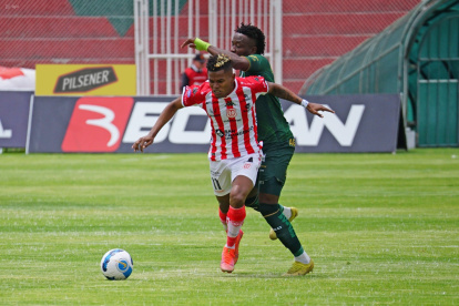 tecnico universitario