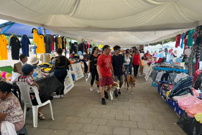 La feria se desarrolló en el Parque Samanes.