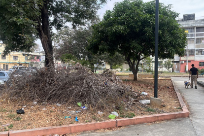 El monticulo además de contar con basura, también se volvió refugio para roedores.