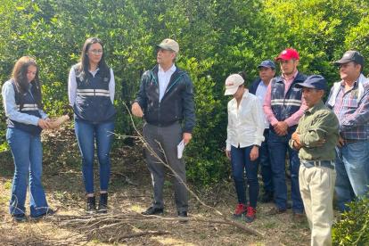 El MAG trajo a un experto de la OIEA para supervisar las actividades de trampeo