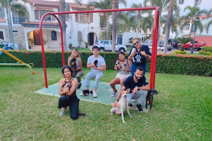 Activistas. Algunos de los voluntarios del proyecto Salvando Patitas.