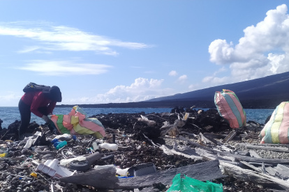 En 2022, en las islas Galápagos se recolectaron 3,6 toneladas de basura.