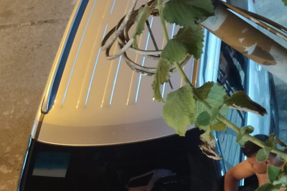 Ataque. La víctima recibió un disparo por el parabrisas de su carro.