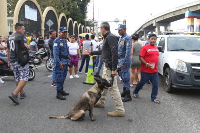 Los canes de la Policía Nacional acompañan a los uniformados en sus labores de esta jornada electoral