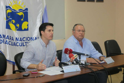 José Antonio Caposano, presidente de la CNA, habla de las necesidad del sector.