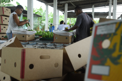 Ventas. El sector en general facturó 5.008 millones de dólares.