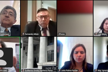 La audiencia demoró en instalarse por problemas técnicos con parte de los comparecientes.