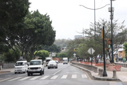 Corredores. Guayaquil debe enfocarse en reconectar sus ecosistemas para emprender un proyecto de reforestación urbana integral y mejorar las condiciones ambientales.
