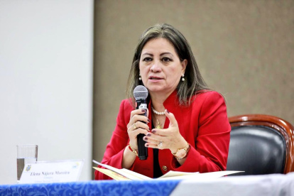 Elena Nájera también pide un informe sobre los viajes internacionales oficiales que prevén hacer los demás integrantes del pleno.