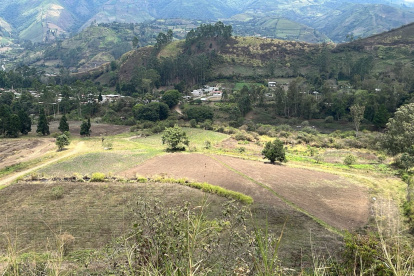 Subasta.- Uno de los terrenos que la CFN subasta, este es el de Pallatanga.