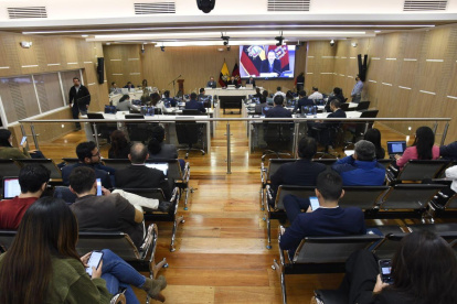 El tema fue abordado en el Concejo Metropolitano por pedido del concejal Michael Aulestia.