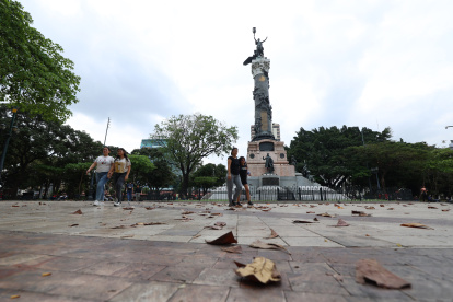 Cuidado. Durante un recorrido por el parque se observó falta de limpieza alrededor de la Columna a los Próceres.
