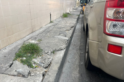 Encima de los puntos dañados ha crecido maleza.