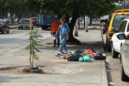 Basura. Los desechos son ubicados en parterres de las vías porteñas. Este escenario se replica a diario.