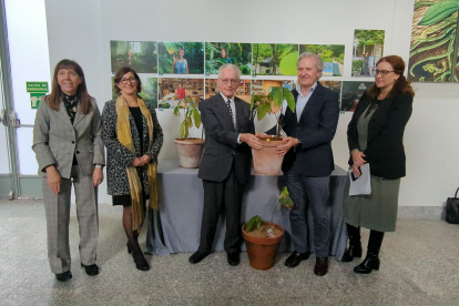 El proceso de donación de estos ejemplares tardó aproximadamente seis meses.