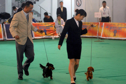 Dos competidores desfilan con sus perros durante el campeonato canino en Qingdao, al este de China.