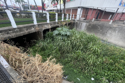 Situación. Gran parte de la zanja está con mucha maleza y desperdicios.