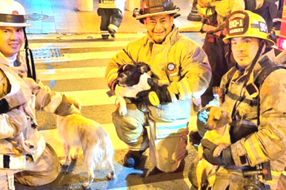 Bomberos de Guayaquil.