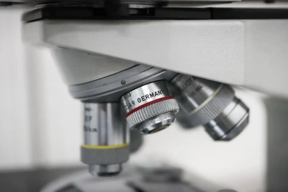 Investigación. El equipo ha demostrado que los niveles excesivos de insulina sobreestimulan las células acinares pancreáticas