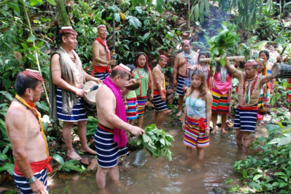 Santo Domingo de los Tsáchilas una provincia del Ecuador eminentemente ganadera y agrícola; rodeada de un escenario bosques tropicales, ríos y cascadas.