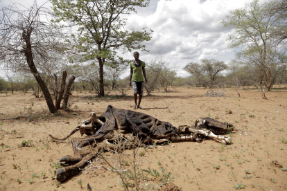 Un agricultor contempla los restos de una vaca fallecida a consecuencia de la severa sequía en Mwenezi (Zimbabue), en una imagen de archivo. EFE