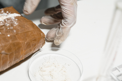 Los policías hallaron un total de 500 paquetes de cocaína con forma de ladrillo.