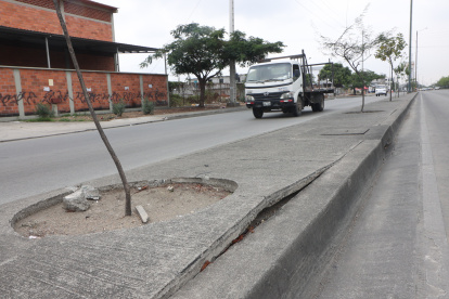 En un tramo de la autopista Narcisa de Jesús se observa un parterre en mal estado.