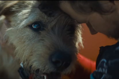 Trailer - La película estrenará celebridades como Mark Wahlberg