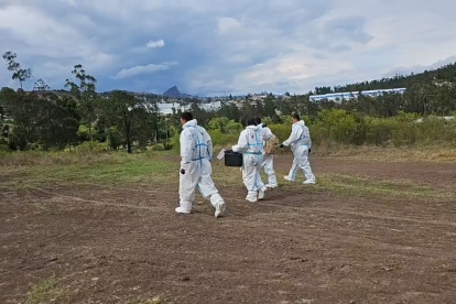 La joven fue hallada sin vida este jueves 16 de noviembre.