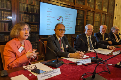 Este diccionario virtual permitirá que más de 500 millones de hispanohablantes puedan comprender los diferentes léxicos médicos de cada país.