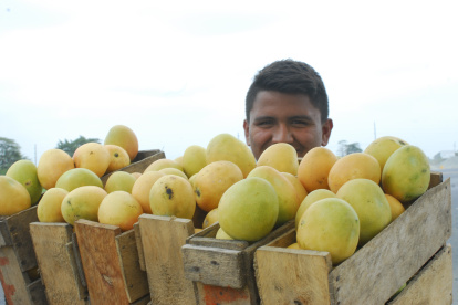 Según un estudio de Ayuda en Acción, un 11 % (15,6 millones) del total de jóvenes latinoamericanos están trabajando sin las titulaciones o acreditaciones educativas básicas.
