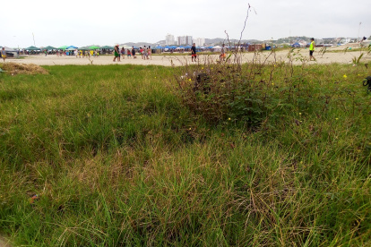 Hecho. Esta es la imagen que prevalece en los balnearios de Playas desde hace ya más de un año.
