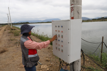 Energía. Un trabajador en una empresa del sector camaronero que usa electricidad en la producción.