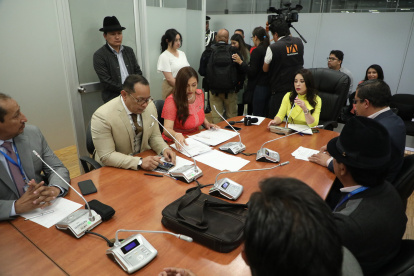 El 19 de noviembre, Pamela Aguirre, del correísmo, fue nombrada presidenta de la mesa de Fiscalizaicón.