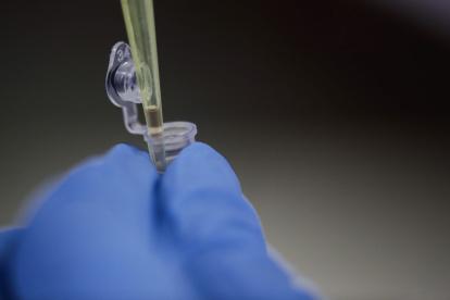 Avance. Un detalle de frascos con muestras de laboratorio.