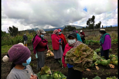 Alianza. Grupos buscarán prevenir el cáncer de mama