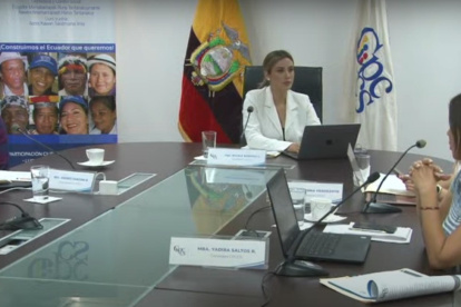 Reunión. El pleno de Participación se reunió este miércoles.