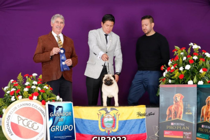 PETFEST será el lugar de encuentro para las mascotas, sus dueños y las empresas o emprendimientos especializados en este rubro