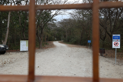 Guayaquil. Los especialistas apuntan a preservar, a como dé lugar, las especies que habitan en Cerro Blanco.