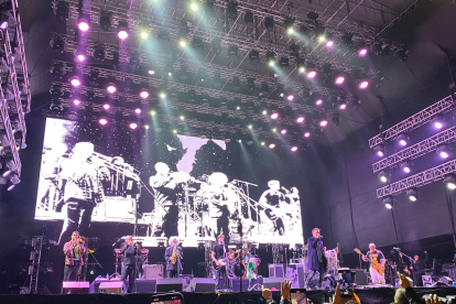 La organización ha recomendado evitar la compañía de mascotas.