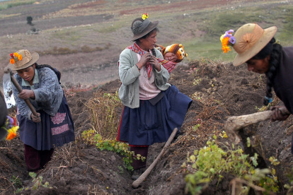 Los trabajos buscan ayudar a la comunidad indígena.