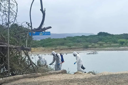 Personal especializado realiza protocolos de seguridad con el uso de trajes especiales en la zona del Manglar de la Boca de San Jacinto.