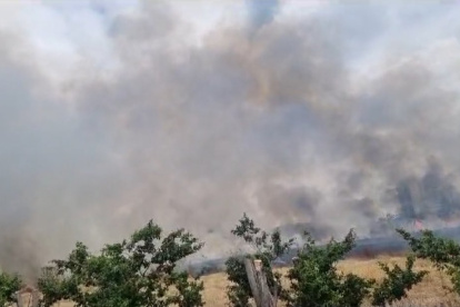 Suceso. El incendio se registró este lunes 27 de noviembre.